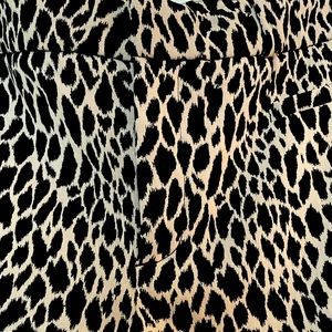 Banana Republic Modern Sloan Pant